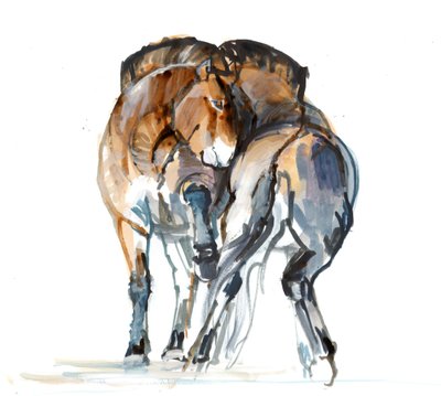 Power Dance (Przewalski), 2013 (sennelierbläck, akvarell och gouache) av Mark Adlington