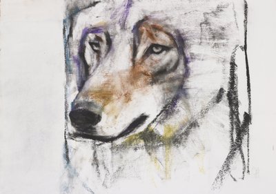 Processo Al Lupo (blandmaterial på papper) av Mark Adlington