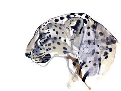 Profil (arabisk leopard), 2008 av Mark Adlington