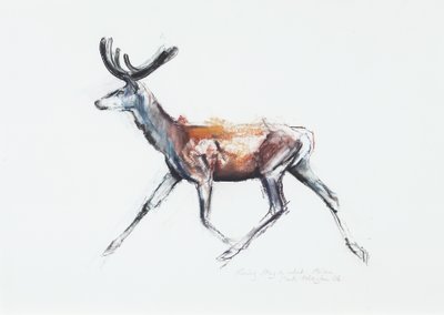 Running Stag i sammet, Polsen, 2006 (charcoal und conte på papper) av Mark Adlington