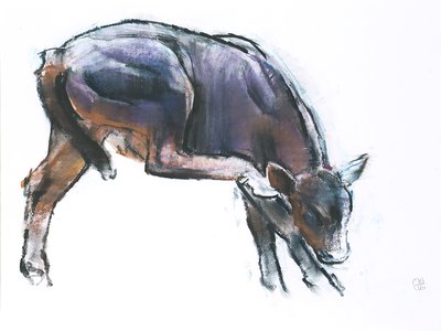 Scratching Calf, 2006 (charcoal und conte på papper) av Mark Adlington