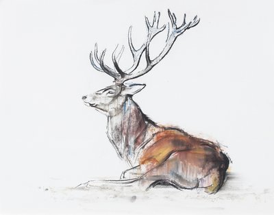 Sittande hjort, 2006 (träkol och conte på papper) av Mark Adlington