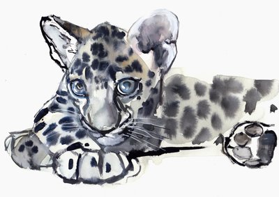 Spotty (arabisk leopardunge), 2008 av Mark Adlington