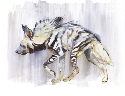Randig hyena, 2010, (akvarell på papper) av Mark Adlington