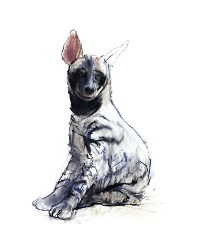 Randig Hyena Pup (sittande), 2010, (conté och pastell på papper) av Mark Adlington