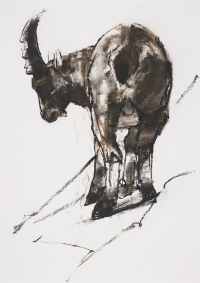 Sun, Crocheneville, 2005 (träkol och conte på papper) av Mark Adlington