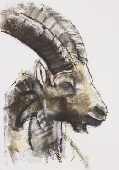 Testa, 2005 (träkol och krita på papper) av Mark Adlington