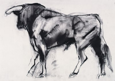 Toro Azul, studie (kol på papper) av Mark Adlington