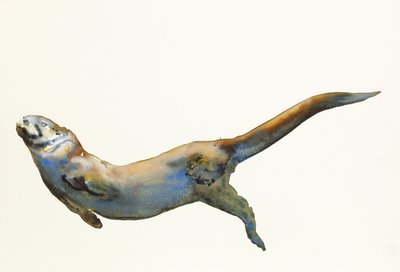 Sammet, 2014, (akvarell på papper) av Mark Adlington
