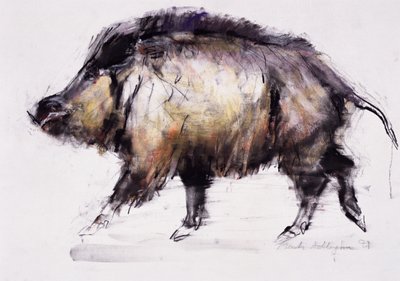 Vildsvin, 1999 (grafit, conte och kol på papper) av Mark Adlington