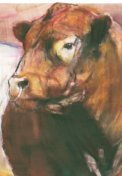Zeus, Red Belted Galloway Bull, 2006 mixed media på pappersdetalj av 275255 av Mark Adlington