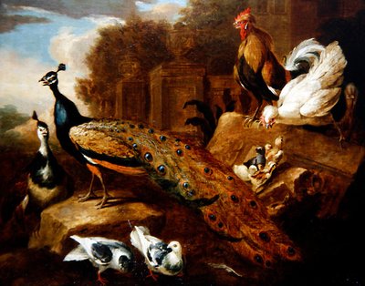 Påfåglar, duvor och andra fåglar och en klassisk byggnad (olja på duk) av Marmaduke (attr. to) Cradock