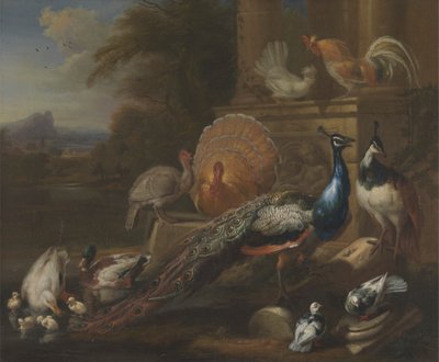 Påfåglar, duvor, kalkoner, höns och ankor vid en klassisk ruin av Marmaduke Cradock