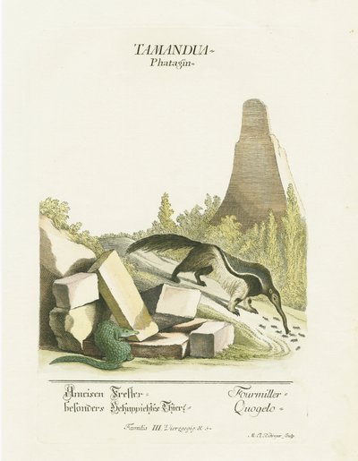  av Martin Elias Ridinger