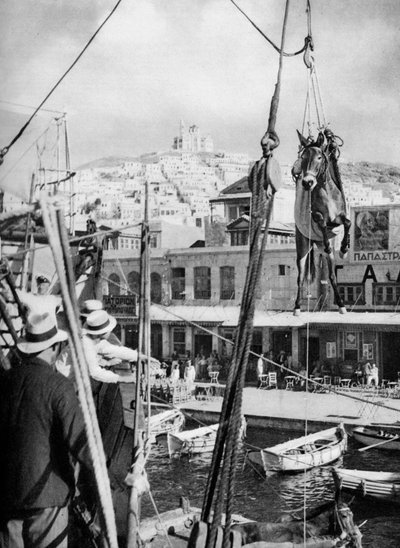 Transport av mulor, Syros Island, Grekland, 1937. av Martin Hurlimann