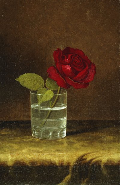 En röd ros, av Martin Johnson Heade