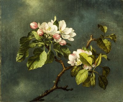 Äppelblommor, av Martin Johnson Heade