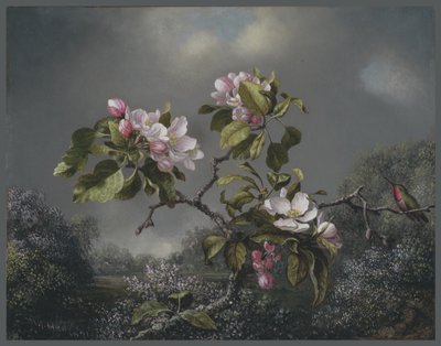 Äppelblom och kolibri, 1871 av Martin Johnson Heade