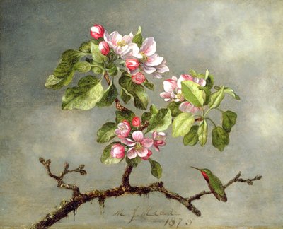 Apple Blossoms and a Hummingbird, 1875 av Martin Johnson Heade