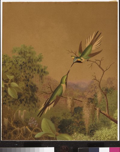 Brasilianska kolibrier IV av Martin Johnson Heade