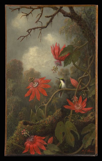 Kolibri och passionsblommor av Martin Johnson Heade