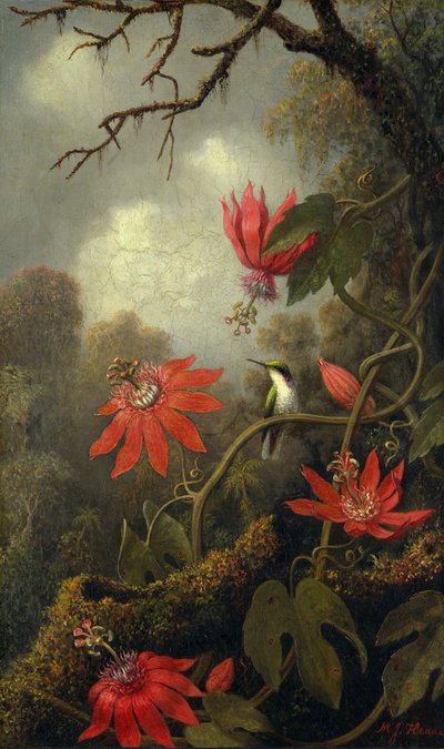 Kolibri och passionsblommor, ca. 1875-85. av Martin Johnson Heade