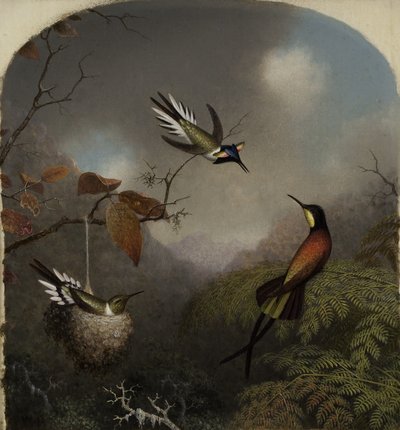 Kolibrier: Två sungemer och en karminröd topas, 1866 av Martin Johnson Heade
