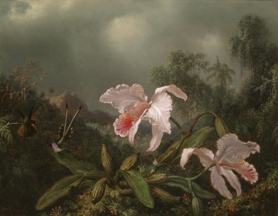 Djungelorkidéer och kolibrier, 1872 av Martin Johnson Heade