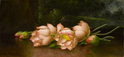 Lotus Flowers: A Landscape Painting in the Background, ca 1885-1900 (olja på duk) av Martin Johnson Heade