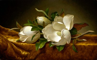 Magnolior på gyllene sammetsduk av Martin Johnson Heade