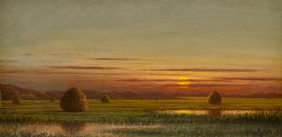 Våtmarker av Martin Johnson Heade