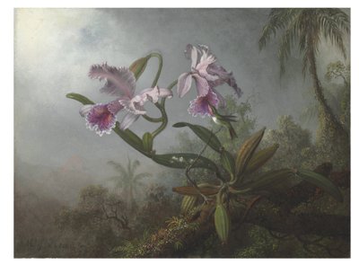 Rosa orkidéer och kolibri på en kvist, 1875 av Martin Johnson Heade