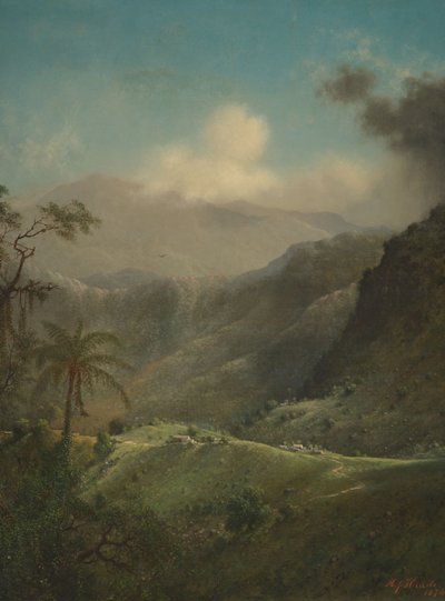 Tropiska högland av Martin Johnson Heade