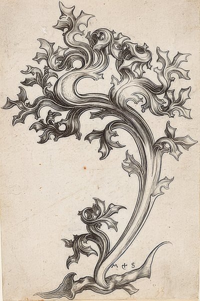 Bladprydnad från en tistel av Martin Schongauer