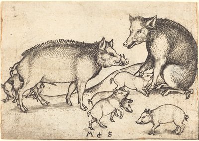 Familj av grisar av Martin Schongauer