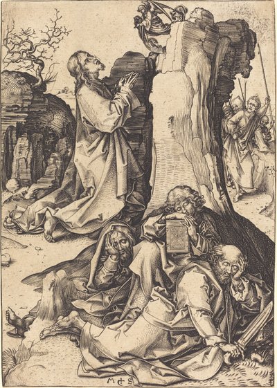 Kval i trädgården av Martin Schongauer