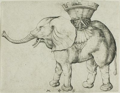 Elefanten av Martin Schongauer