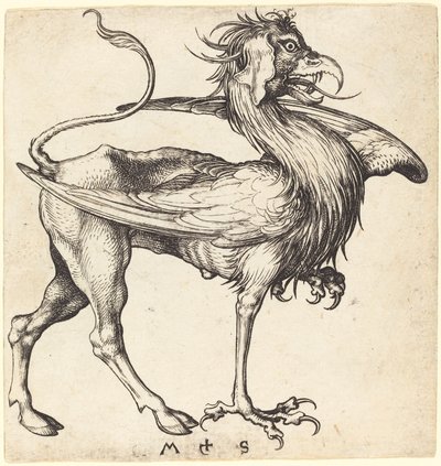 Griffin av Martin Schongauer