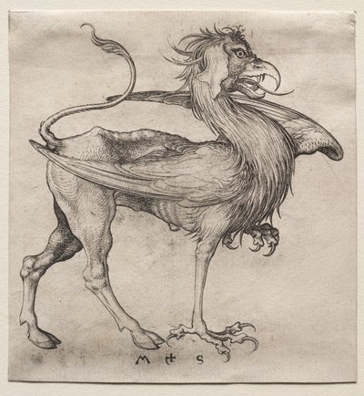 Griffin av Martin Schongauer