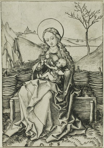 Madonna med barnet på en gräsbevuxen bänk av Martin Schongauer