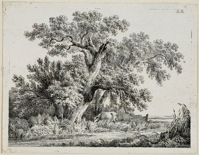 landskap av Martin von Molitor