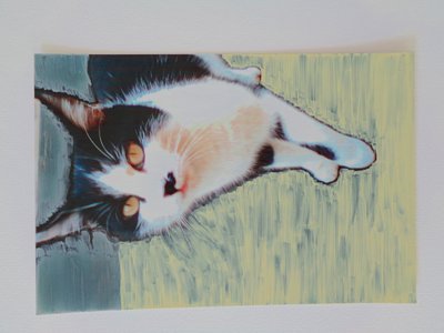 Katt katt av Martina Konitzky