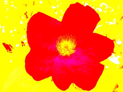 Popkonsthyllning Andy Warhol av Martina Konitzky