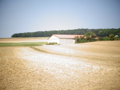 Sommar av Martina Konitzky