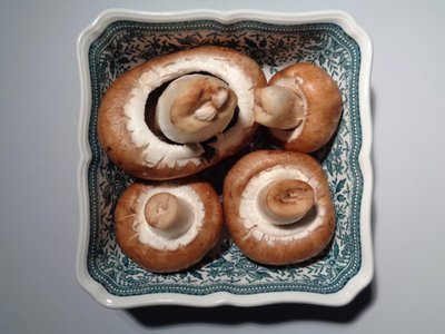 Villeroy och Boch porslin med svampar av Martina Konitzky