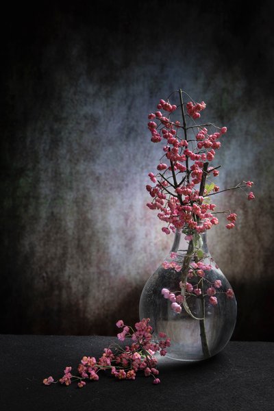  av Martine Benezech