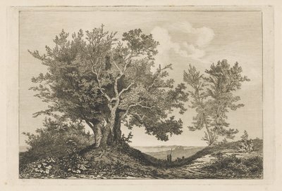 Landsväg mellan de två träden av Martinus Antonius Kuytenbrouwer jr.