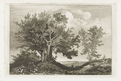 Landsväg mellan de två träden av Martinus Antonius Kuytenbrouwer jr.