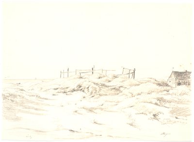 Dynlandskap, Skagen av Martinus Rørbye