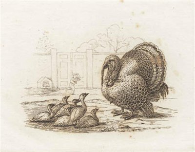 Illustration till "Halvhundra fabler för barn" av Hey av Martinus Rørbye